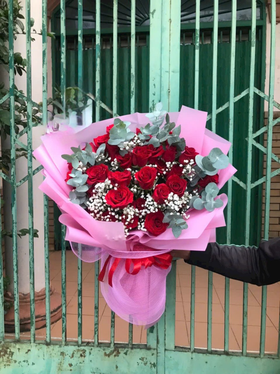 Bó hoa hồng đỏ dưới 600